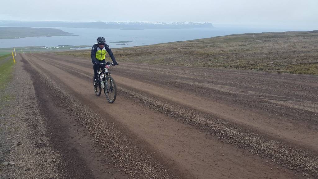 lifecycle challenge 2015 b