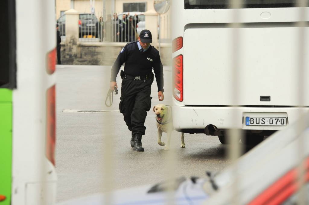 12891737_10154012478273582_6868606400674841261_o