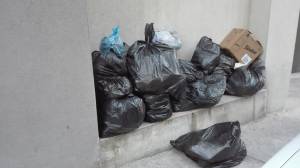 msida2