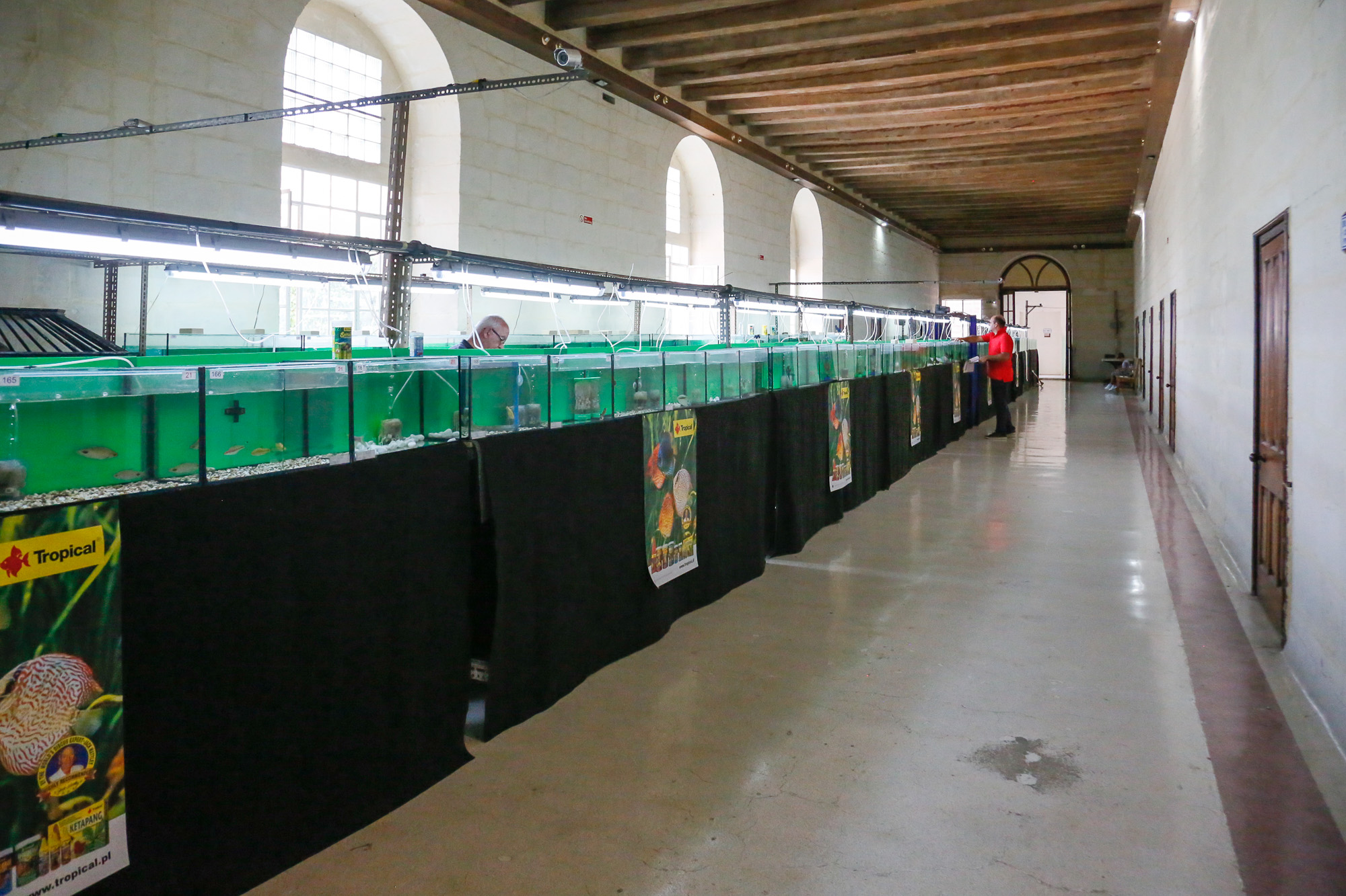 Wirja Hut Aquarium-7517
