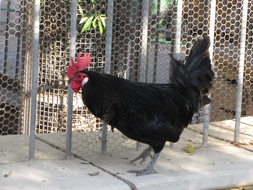 FILQORTI "Talmistħija kif għal €160 jitressaq bidwi u min seraq €400 miljun qisu xejn" NETnews