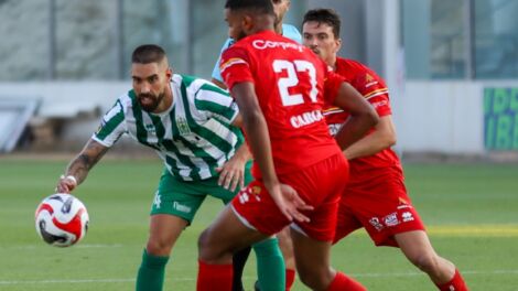 Ritratt ta' Martin Agius