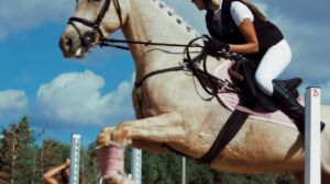 Suċċess għall-ewwel edizzjoni ta’ Fiera Żwiemel organizzata minn EquestriMalta.