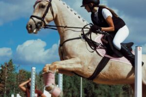 Suċċess għall-ewwel edizzjoni ta’ Fiera Żwiemel organizzata minn EquestriMalta.