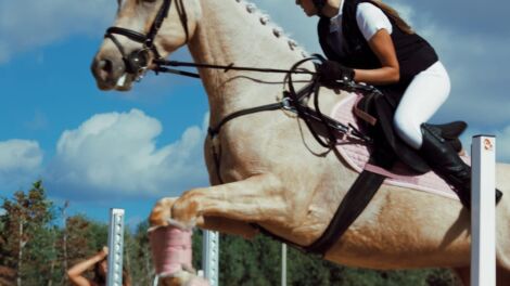 Suċċess għall-ewwel edizzjoni ta’ Fiera Żwiemel organizzata minn EquestriMalta.
