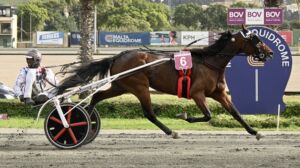 Ir-rebbieħ tal-aħħar edizzjoni tat-Tazza l-Kbira sponsorjata minn BOV, Darts so Cool.
