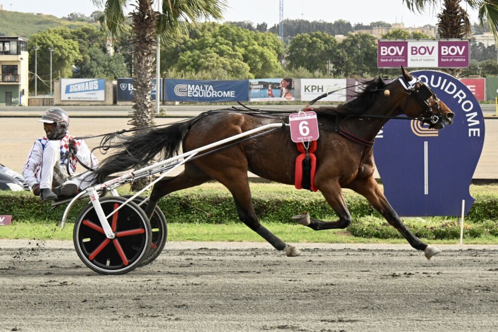 Ir-rebbieħ tal-aħħar edizzjoni tat-Tazza l-Kbira sponsorjata minn BOV, Darts so Cool.