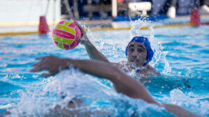 Ritratt ta' Francesco Gauci